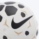 NIKE Lopta pitch - fa25 5 - HV6249-100