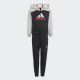 ADIDAS Trenerka  essentials big logo fleece tracksuit  BT - IJ6386