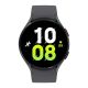SAMSUNG Pametni sat Galaxy Watch5 BT 44mm siva - 140025