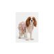 DOGGYDOLLY HALJINICA za pse, 000199, velicina 35-40 cm - EP3305387