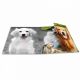 HERMA Fascikla PP sa gumicom - Dogs, 240 x 320 x 15 mm - 04CF7139