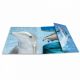 HERMA Fascikla PP sa gumicom - Dolphin, 240 x 320 x 15 mm - 04CF7141