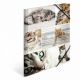 HERMA Fascikla plastificirana sa gumicom - Cats, 240 x 320 x 15 mm - 04CF19212
