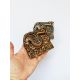 ROD - Magnet ZMAJ/SRBIJA, boja bronze - ROD000236