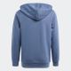 ADIDAS Duks essentials two-colored big logo hoodie BP - IQ4078