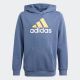 ADIDAS Duks essentials two-colored big logo hoodie BP - IQ4078