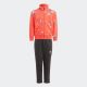 ADIDAS Trenerka brand love tracksuit BP - IS3767