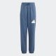ADIDAS Donji deo future icons logo bottoms BG - IS4395
