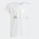 ADIDAS Majica kratak rukav  jg glam t GG - JD1831