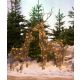 LUMINEO Dekorativna figura jelen 72 LED - KA491903