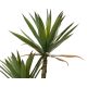 Ukrasna veštačka biljka Sisal u saksiji, 125cm - KA808466