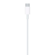Kabl Apple Type C - Lightning 2 m  bela - T55018