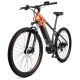 XPLORER E-bike MTB KILIMAJARO 29