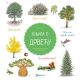 Knjiga o drveću - 9788674787083