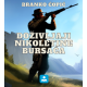 Knjigapriča - audio knjiga Doživljaji Nikoletine Bursaća - KP110012