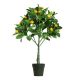 DEKOR DOM Drvo KUMQUAT - 70cm - N55 - EP2626205
