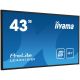 IIYAMA Interaktivni ekran 43'' LE4341S-B1, Full HD - LE4341S-B1