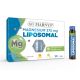 Marnys Liposomalni Magnezijum 375mg, 10 ampula - 3642-1-1