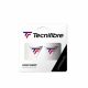 Logo Damp Tricolore - LOGODAMP