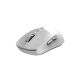 GENIUS Bežični optički miš NX-8080S BT, bela/siva - MIS02172