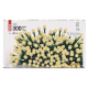 EMOS LED lanac od cherry - kuglice 30 m - MTG-D5AW04