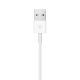 APPLE Kabl za brzo punjenje Watch Magnetic - 1780015