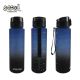 FLAŠICA ZA VODU URBAN 6,9*25,10CM 700ML SC3394 - EP3118542