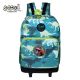 RANAC TROLLEY 45*32*16,5CM SC3446 - EP3122528