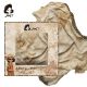 JANET ESARPA U POKLON KUTIJI THE WESTERN ODYSEE 85*180CM VISCOSE J-505 - EP3120070