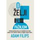 O želji za pažnjom - 9788661520181