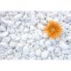Nero Oblutak beli - Tasos 3-6cm 25kg - 12554