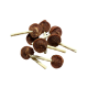 PET PRO Snacks Lizalica od govedine 350g 31/1 - 3012798