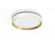 PHILIPS Plafonjera Hanno LED 24W 27K bela - 20666