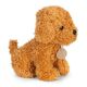 ECO TOYS Plišana igračka za decu, štene brown poodle, torba + četka za negu - EP2752021