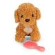 ECO TOYS Plišana igračka za decu, štene brown poodle, torba + četka za negu - EP2752021