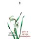 Priče o narcisu zlostavljaču - 9788660700201