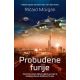 Probuđene furije - 9788652132355