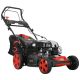 PROLINETECH Samohodna motorna kosilica Briggs&Straton Germany Style PLT/BC-161 - PLT-BC-161