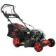 PROLINETECH Samohodna motorna kosilica Briggs&Straton Germany Style PLT/BC-161 - PLT-BC-161