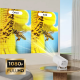 Projektor P40 Android 11 (1024x600/ 120 Ansi Lumens) beli - 617737