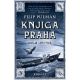 Prva knjiga Praha – Divlja lepotica - 9788652131259