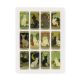 3D Stikeri za telefon CA-911 - EP2963743