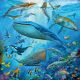 Ravensburger puzzle - Zivot u okeanu - 3x49 delova - RA05149
