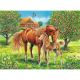 Ravensburger puzzle - Konji u divljini - 100 delova - RA10577