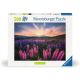 Ravensburger puzzle - Lupine - 500 delova - RA12000688