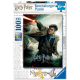 Ravensburger puzzle (slagalice) -  Harry Potter - RA12869