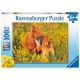 Ravensburger puzzle - Shetland Pony - 100 delova - RA13283
