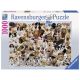 Ravensburger puzzle - Katalog pasa - 1000 delova - RA15633
