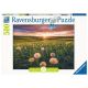 Ravensburger puzzle - Maslačak -500 delova - RA16990
