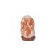 Rabalux Dekorativna rasveta Wasabi LED 1W hrast (3680) - 3680